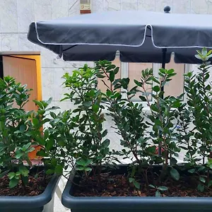  Appartamento Con Terrazzo Italia